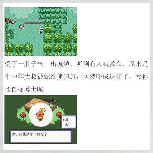 祐树在新家开始冒险,先救下被蛇纹熊追的小田卷博士,获赠火稚鸡